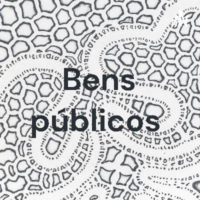 Utilização dos bens públicos