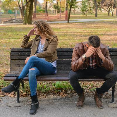 2 de 8 Como Perros y Gatos. LA COMUNICACIÓN EN LA PAREJA