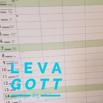 5: Visioner för det nya året 5: Visioner för det nya året