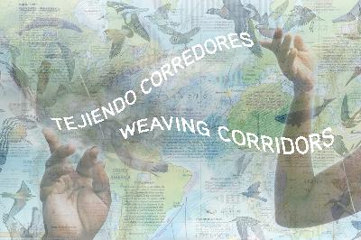 Agua Salud y Reforestación Inteligente en STRI Panamá, con Jahir Batista