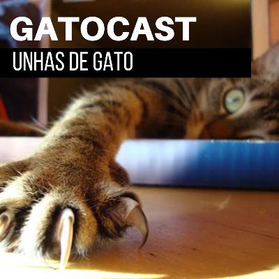 Ep. 29 - Unhas de gato