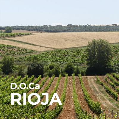 A trip to Rioja