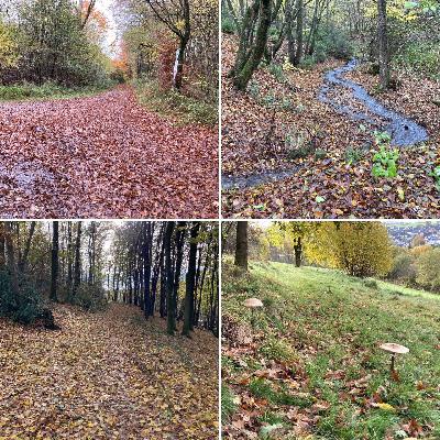 FGG258 – Gedankliche Sackgasse