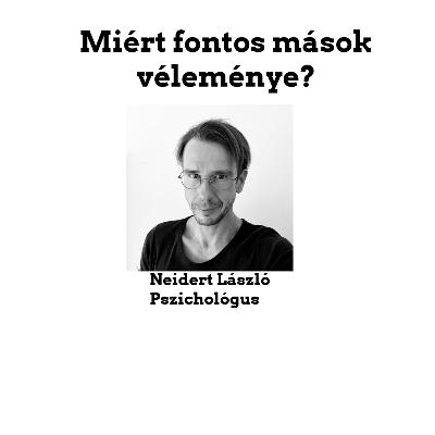 Miért fontos mások véleménye? Miért fontos mások véleménye?
