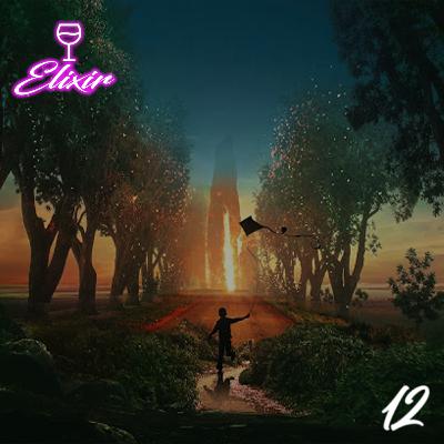 Felicidade, conceito, e os modos em que se manifesta no mundo - Elixir 12