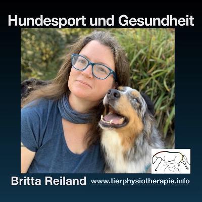 Resilienz im Hundetraining