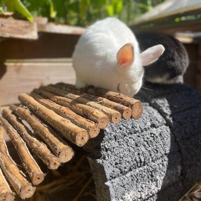 Wie geht es weiter?♥️