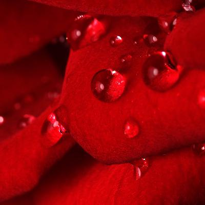 Episode 112: Rauwe impact van een 1e liefde