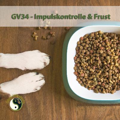 GV 34_Frustrationstoleranz - Impulskontrolle