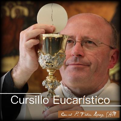 Cursillo Eucarístico: Clase VII Pt III- Condiciones para una participación continua