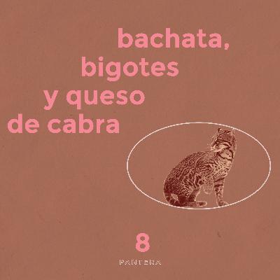 EP08: Pantera y el secreto mejor guardado