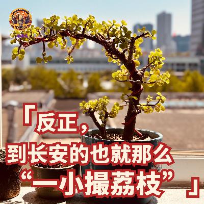 港漂说22:回内地有感+刷了三部电影《荔枝》《你上》《戏台》 港漂说22:回内地有感+刷了三部电影《荔枝》《你上》《戏台》