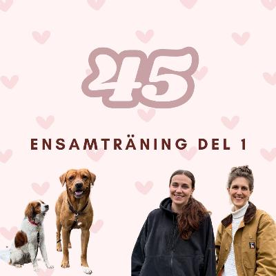 45. Ensamträning del 1