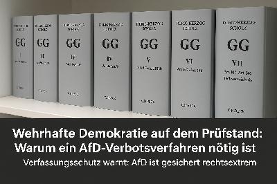 Wehrhafte Demokratie auf dem Prüfstand: Warum ein AfD-Verbotsverfahren nötig ist Wehrhafte Demokratie auf dem Prüfstand: Warum ein AfD-Verbotsverfahren nötig ist