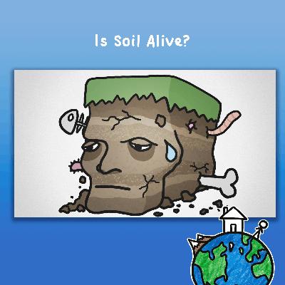 Is Soil Alive?