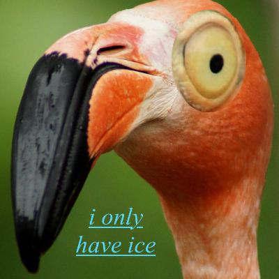 ep 006: i only have ice