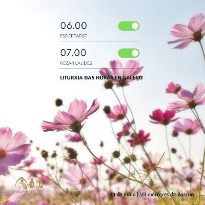 Tempo de Pascua | VII mércores