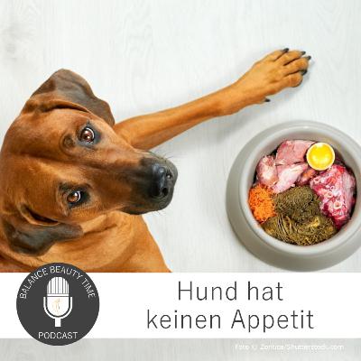 Mein Hund hat keinen Appetit: Experten-Podcast mit Stefanie Krukemeyer Mein Hund hat keinen Appetit: Experten-Podcast mit Stefanie Krukemeyer