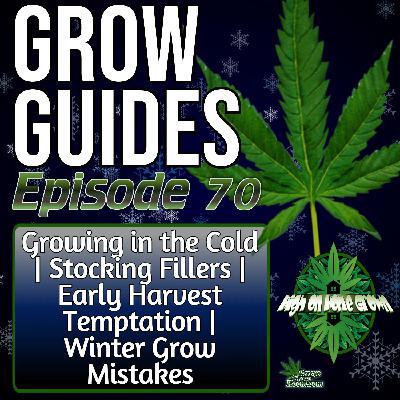 Winter Growing Survival Guide, Smart Grower Gift Ideas, Early Harvest Mistakes & Christmas Grow Disasters to Avoid | Grow Guides Ep. 70