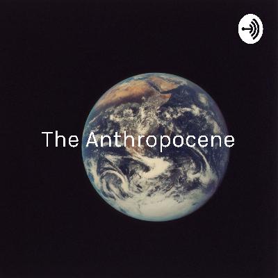 The Anthropocene: How Plastics Are Polluting Our Earth