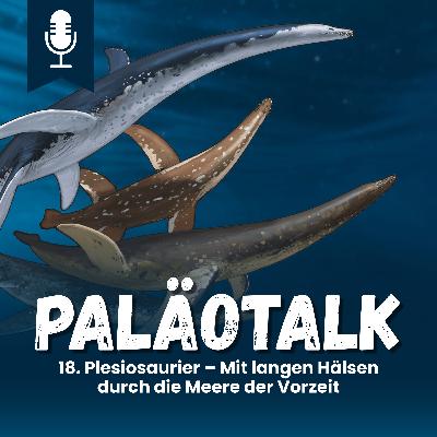 18. Plesiosaurier – Mit langen Hälsen durch die Meere der Vorzeit 18. Plesiosaurier – Mit langen Hälsen durch die Meere der Vorzeit