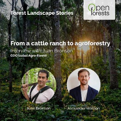From a cattle ranch to agroforestry