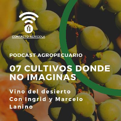 07 Cultivos donde no imaginas