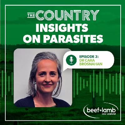 Insights on Parasites Ep.3 with Dr Cara Brosnahan