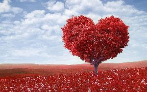 Episode 029 Hope Deferred and Heartsick (Part 2)
