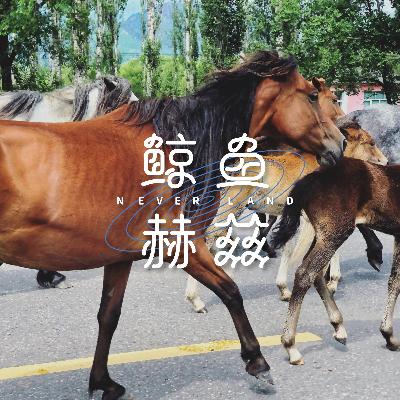 Vol.249 骑马不喝酒，喝酒不骑马，给大家拜年啦！