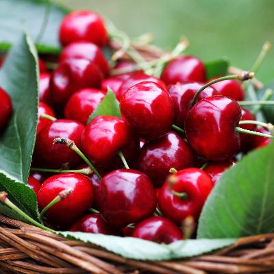 Les cerises Les cerises