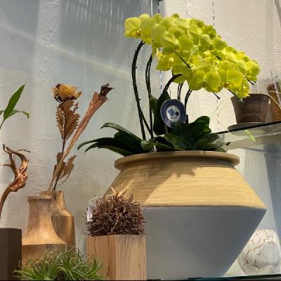 EP223 種植物也要懂土壤 / 甜味四神湯——唯有客家菜 EP223 種植物也要懂土壤 / 甜味四神湯——唯有客家菜