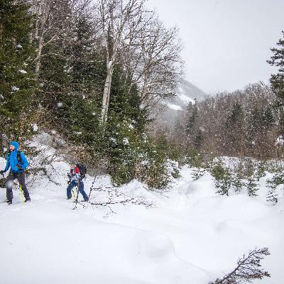 MWAC Outreach Mar 5 2021 - Weekend Forecast