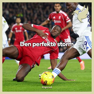 Den perfekte storm