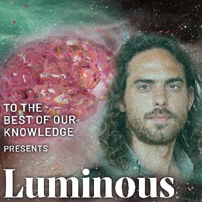 Chris Timmerman on how DMT can deconstruct the mind