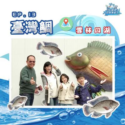 出發吧!鱻魚練習生|第十三個試煉|學習技能【全能】- 臺灣鯛 出發吧!鱻魚練習生|第十三個試煉|學習技能【全能】- 臺灣鯛