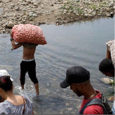 El Libre Mercado acaba con la Producción Local El Libre Mercado acaba con la Producción Local