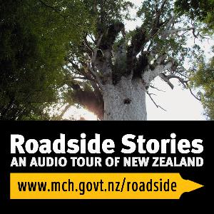 Waipoua Forest, home of giant trees