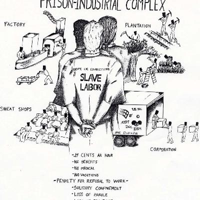 Episode 5 - Military/Prison Industrial Complex