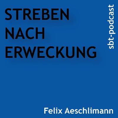 Streben nach Erweckung Streben nach Erweckung