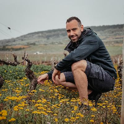 D3-Italy-Veneto-Soave: All about the region Soave
