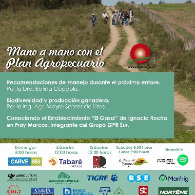 Recomendaciones próximo entore. Biodiversidad y producción ganadera. Conocemos Establecimiento #GruposPlan en Fray Marcos.