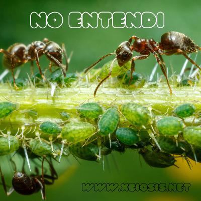 Por que y como la comunicacion asertiva y efectiva son claves para crecer en Internet