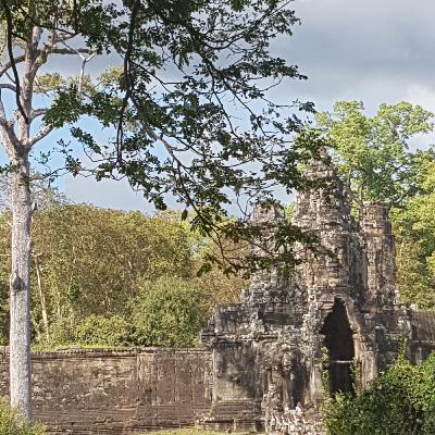 Angkor Wat sounds of nature between temples and history auf 1000 years