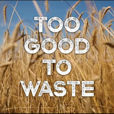 #12 Too Good To Waste - Season 2 trailer