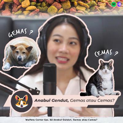 Welfare Corner Eps. 02 Anabul Gendut, Gemas atau Cemas?