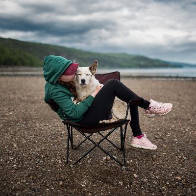 101. 7 Shortcuts To Get The Most Out Of Dog Training 101. 7 Shortcuts To Get The Most Out Of Dog Training