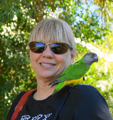 Ginger's Parrot Rescue part-two