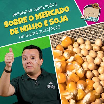 Quais são as primeiras impressões sobre o mercado de milho e soja na safra 2024/2025? Quais são as primeiras impressões sobre o mercado de milho e soja na safra 2024/2025?