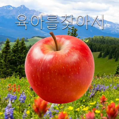 EP.14 그렇게 아버지가 됐다 (ft. 김범례)